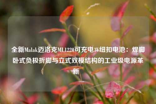全新Malak迈洛克ML1220可充电3V纽扣电池：焊脚卧式负极折脚与立式双模结构的工业级电源革新  