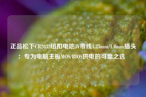 正品松下CR2032纽扣电池3V带线1.25mm/1.0mm插头：专为电脑主板MOS/BIOS供电的可靠之选  