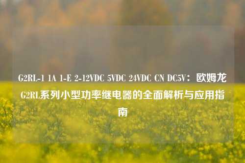 G2RL-1 1A 1-E 2-12VDC 5VDC 24VDC CN DC5V：欧姆龙G2RL系列小型功率继电器的全面解析与应用指南
