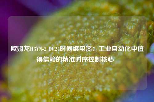 欧姆龙H3YN-2 DC24时间继电器:工业自动化中值得信赖的精准时序控制核心 欧姆龙H3YN-2 DC24时间继电器:工业自动化中值得信赖的精准时序控制核心