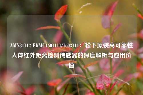 AMN31112 EKMC1601111/1603111：松下原装高可靠性人体红外距离检测传感器的深度解析与应用价值