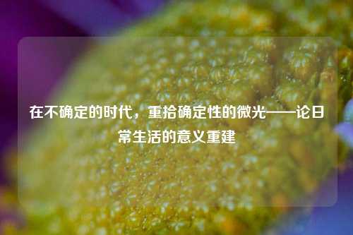 在不确定的时代，重拾确定性的微光——论日常生活的意义重建